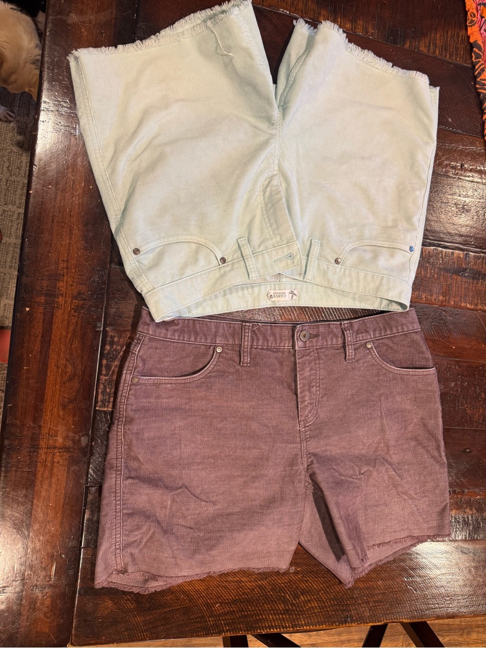 CARVE!  Women’s High-Rise Corduroy Shorts - Mint and Mauve